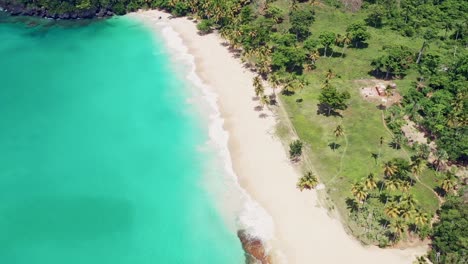 Aerial-Drone-View-Of-Playa-Colorada-With-Tropical-Palm-Trees-in-Las-Galeras,-Samana,-Dominican-Republic