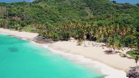 Aerial-View-Of-White-Sandy-Shoreline-With-Lush-Tropical-Forest-In-Playa-Colorada,-Las-Galeras,-Samana,-Dominican-Republic