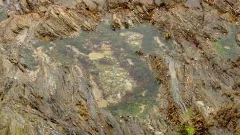Obere-Aufnahme-Eines-Felsenbeckens-Mit-Algen