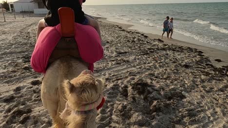 High-angle-point-of-view-of-tourists-enjoying-dromedary-camel-ride-on-sea-shore-and-sandy-beach-in-Tunisia