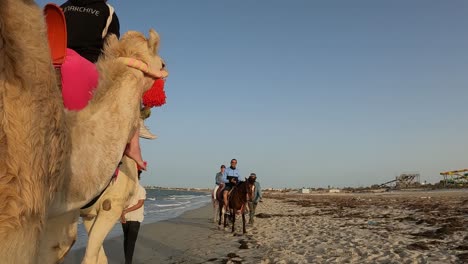 Ungewöhnliche-Sicht-Auf-Touristen,-Die-Auf-Einem-Dromedar-Am-Sandstrand-Reiten