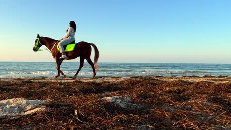 Adult-woman-ride-horse-at-sunset-on-sea-shore-along-sandy-beach-in-Tunisia