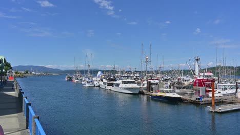 Coastal-Charm:-Sailboats-and-Scenic-Delights-in-Campbell-River's-Marinas