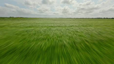 High-speed-drone-flying-low-above-grass-fields-in-a-rural-area-in-The-Netherlands