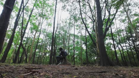 man-seating-on-cutting-wood-in-a-forest-and-thinking-wide-view-mumbai