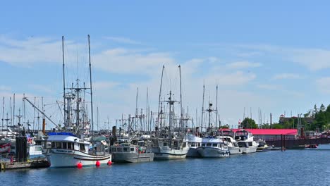 Nautical-Nook:-Discovering-the-Charming-Marinas-of-Campbell-River