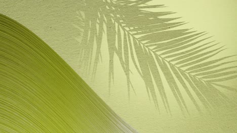 Schatten-Von-Palmblättern-Auf-Gelber-Hintergrundwand-Mit-Kopierraum