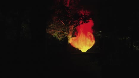 Lichtausstellung-Mit-Brennender-Flamme-Im-Botanischen-Garten-Des-Osaka-Team-Lab