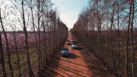 The-cars-are-driving-on-a-rural-road,-with-trees-lining-the-sides