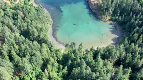 Himmelhoch-über-Der-Türkisfarbenen-Bucht:-Overhead-Drohnenszene-Vom-Campbell-River,-Vancouver-Island