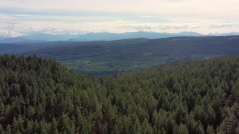 Vuelo-Sobre-Las-Copas-De-Los-árboles:-Vista-Aérea-Hacia-Las-Montañas-Del-Río-Campbell,-Isla-De-Vancouver
