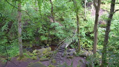 Eine-Abgelegene-Alte-Holzfußgängerbrücke-über-Einen-Schmalen-Fluss-In-Einem-Grünen-Wald
