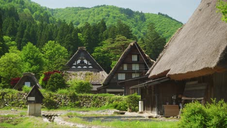 Row-Of-Gassho-Zukuri-Traditional-Thatched-Roofs-Village-Homes-In-Shirakawago