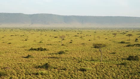 Africa-Aerial-Shot-of-Beautiful-Masai-Mara-Savanna-Landscape-in-Kenya,-Amazing-Travel-Experience-Flying-High-Over-Maasai-Mara-in-Hot-Air-Balloon-Ride-Flight-at-Sunrise,-Vast-Plains-Savannah-Scenery