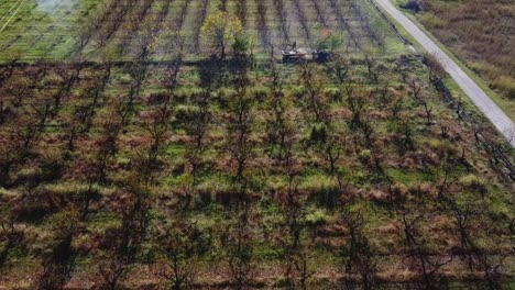 Aerial-flyover-agricultural-field-with-farmer-planting-trees-on-countryside-in-Greece