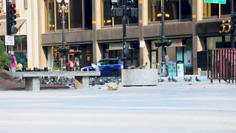 timelapse-of-an-older-man-in-the-background-using-his-phone-while-commuters-are-walking-past-the-scene