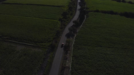 Aerial-drone-top-down-shot-over-car-driving-through-green-farmland-from-above-during-morning-time
