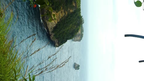 Vertical-dolly-forward-reveal-shot-through-a-ring-of-branches-overlooking-the-ocean-and-a-cluster-of-small-islands-off-the-coast-of-Nusa-Penida-Bali