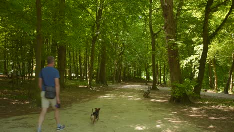 Ein-Mann-Geht-Mit-Seinem-Hund-Auf-Der-Unbefestigten-Straße-Mit-Dichten-Grünen-Bäumen-Im-Bois-De-La-Cambre-In-Brüssel,-Belgien,-Spazieren