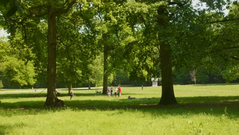 Menschen-Auf-Dem-Sonnigen-Wiesenpark-Von-Bois-De-La-Cambre-In-Brüssel,-Belgien