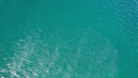 Glitzernde-Fischschwarm-Im-Türkisfarbenen-Wasser-Von-Cabarita-Beach,-Tweed-Shire,-Bogangar,-Northern-Rivers,-New-South-Wales,-Australien,-Luftaufnahme