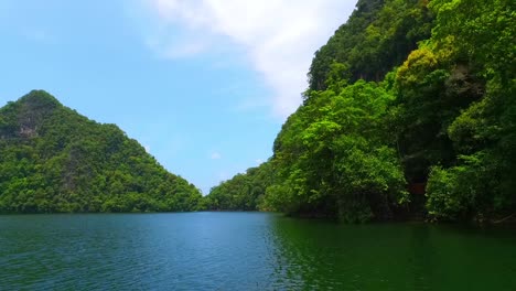 Bosque-Tropical-Siempre-Verde-En-Malasia
