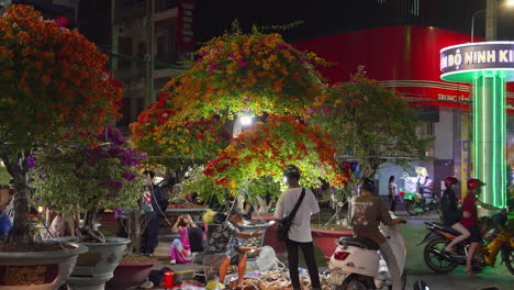 Erleben-Sie-Die-Lebendige-Atmosphäre-Des-Ninh-Kieu-Nachtblumenmarkts-Während-Des-Mondneujahrs,-Mit-Einem-Straßenblumenverkäufer,-Der-Die-Farbenfrohe-Szene-Bereichert