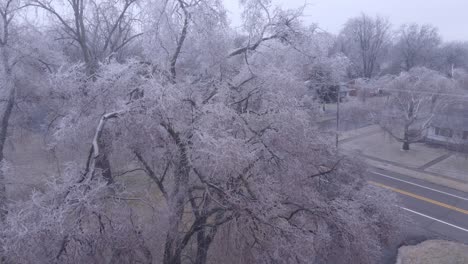 Tree-covered-in-frost-after-ice-storm-in-Michigan,-aerial-drone-view