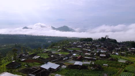 Aerial-view-of-topical-countryside-on-the-slope-of-mountain-with-view-sea-of-clouds