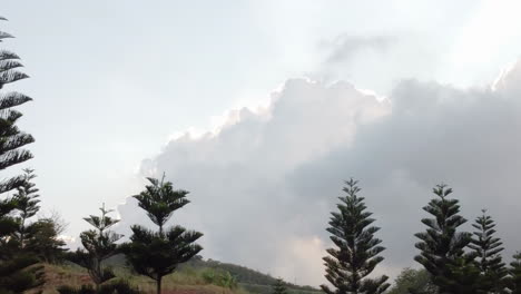 Sonnenuntergangswolken-Am-Himmel-Mit-Großen-Dunklen-Bäumen-Im-Vordergrund---Parallaxe-Bewegt-Sich-Von-Rechts-Nach-Links-Und-Schaut-In-Zeitlupe-Nach-Oben