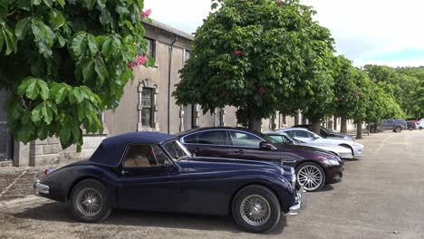 Klassische-Jaguare-Werden-Im-Frühjahr-Bei-Einer-Motorrallye-In-Waterford,-Irland,-In-Einem-Innenhof-Ausgestellt