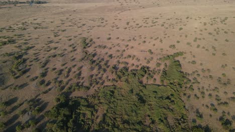 Slow-drone-flyover-over,-open-arid-barren-land-in-Golan-Heights,-Israel