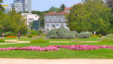 Toma-De-Establecimiento,-Que-Muestra-Las-Hermosas-Flores-Rosas-En-Los-Jardines-Del-Palacio-De-Cristal-En-Oporto-Durante-El-Verano