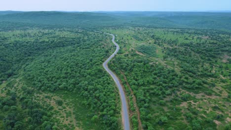 Aerial-Drone-view-of-a-forest-road-through-lush-green-Jungle-with-hilly-backdrop-in-Gwalior-Madhya-Pradesh-India