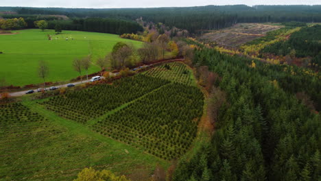 Forest-agriculture-with-freshly-planted-saplings-near-green-meadows,-aerial-view