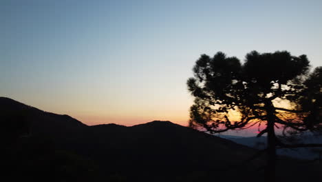 A-drone-pans-through-the-silhouetted-treetops-in-the-mountains-of-Estepona,-Spain