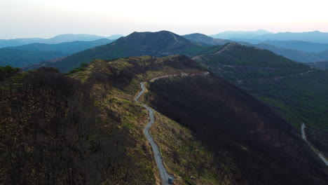 A-drone-flies-over-a-road-in-a-burnt-mountainside-forest-with-burned-trees-on-both-sides