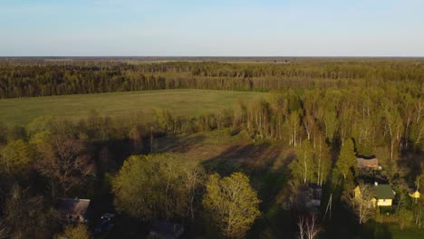 Drone-going-Up-a-Forrest-in-Hiiumaa-Island,-Estonia-Reveling-Beautiful-Nature-on-a-Sunny-Day