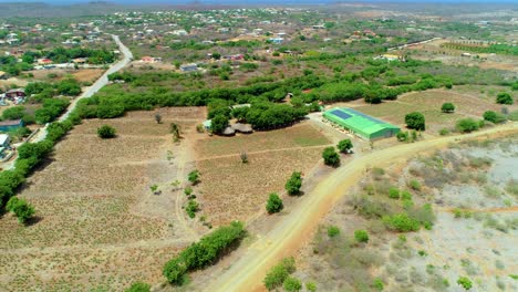 4k-drone-tilt-down-of-Aloe-Vera-Plantation-Farm-in-Curacao