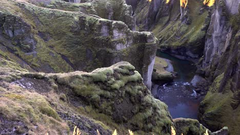 Close-handheld-shot-of-moss-in-Fjaðrárgljúfur-Canyon---South-Iceland