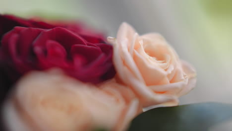 Rose-flowers-in-festive-bouquet-on-blurred-background