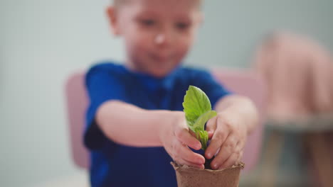 Happy-toddler-boy-puts-seedling-into-paper-pot-at-home