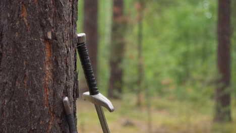 swords-in-forest-by-tree,-medieval-weapons