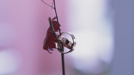 shiny-gold-wedding-rings-hang-on-thin-twig-with-red-leaf