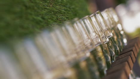 glasses-with-tasty-champagne-on-rack-near-artificial-grass