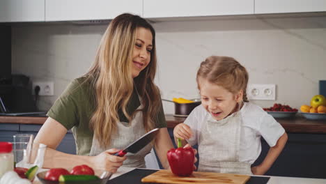 woman-with-knife-and-pepper-with-playful-daughter-in-kitchen