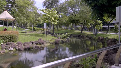 Teichgewässer-Mit-üppiger-Vegetation-Im-Changi-Business-Park-In-Singapur