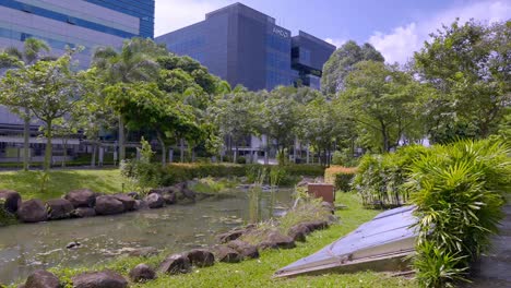 Teich-Mit-Umliegendem-Grünem-Laub-Vor-Modernen-Bürogebäuden-Im-Changi-Business-Park-In-Singapur