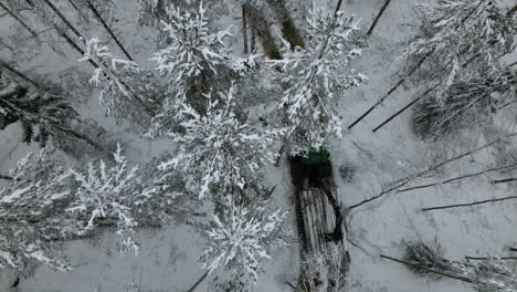 Luftaufnahme-–-Verfolgung-Von-Baumstämmen,-Die-Im-Schneebedeckten-Wald-Transportiert-Werden