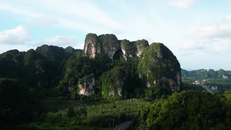 Oil-palm-trees-growing-on-huge-limestone-cliff,-Southern-Thailand